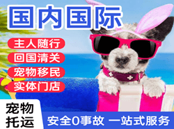 大兴机场空运国际宠物托运 【国